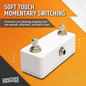 Amazon.com: Rock Stock Dual Foot Switch Pedal - Versatile